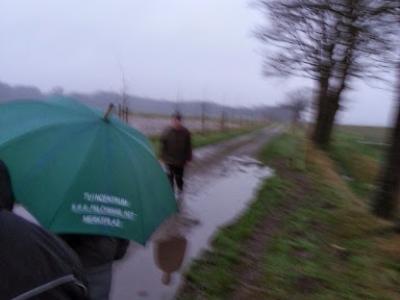 20130105_162937[1]